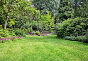 Optimiser l'expérience du jardin à Sancey-le-Grand